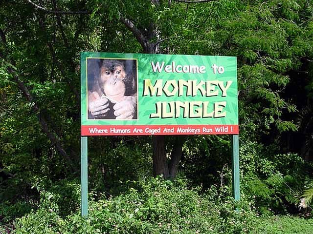 Entrance sign at Monkey Jungle / Wikimedia / Smothert1
Link: https://upload.wikimedia.org/wikipedia/commons/thumb/5/59/Monkey-Jungle-Attraction-Miami.jpg/640px-Monkey-Jungle-Attraction-Miami.jpg