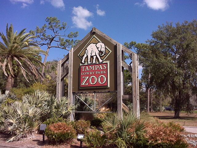 Entrance sign of ZooTampa at Lowry Park / Wikimedia / TampAGS
Link: https://upload.wikimedia.org/wikipedia/commons/thumb/7/7f/Lowry_Park_Zoo_Sign_in_Tampa.jpg/640px-Lowry_Park_Zoo_Sign_in_Tampa.jpg