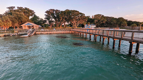 Fishing pier at Captain Leonard Destin Park / Flickr / fisherbray
Link: https://flickr.com/photos/fisherbray/52589888278/