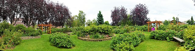 Garden at Delaney Park / Wikimedia / Enrico
Link: https://commons.wikimedia.org/wiki/File:Delaney_Park_ENBLA13.jpg