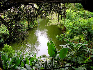 Lake view at the Tampa Treehouse / Flickr / Colin
Link: https://flickr.com/photos/9160014@N05/987402102/