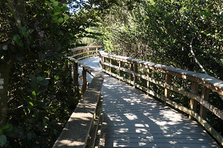 Pathway at Everglades National Park / Flickr / MisterQque
Link: https://flickr.com/photos/83985532@N06/52206960840/