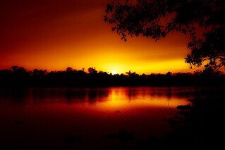 Sunset at North Island Treetop / Flickr / Jet7Black
Link: https://flickr.com/photos/jet7black/33781784353/
