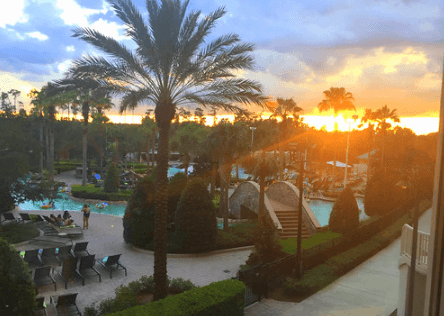 Back perspective of Hilton Orlando / Flickr / Margalit Francus
Link: https://flic.kr/p/WgHNrW