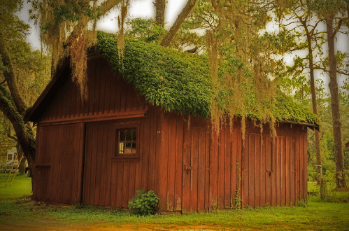 Cabin at the Ocala National Forest / Flickr / A Diesel Work Lemon
Link: https://flic.kr/p/wUp4ih