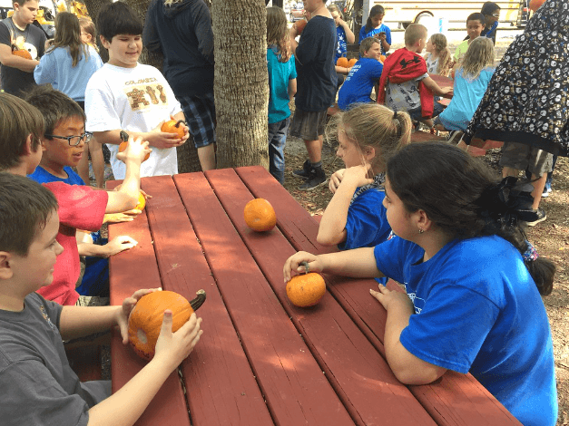 Children picking pumpkins at Fruitville Grove / Flickr / Leila Newcomb Wolf
Link: https://flic.kr/p/A7552y