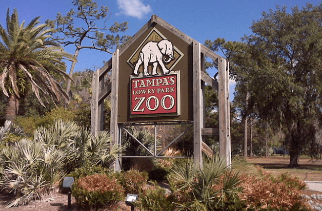 Entrance sign at Zoo Tampa / Wikimedia / TampAGS
Link: https://upload.wikimedia.org/wikipedia/commons/thumb/7/7f/Lowry_Park_Zoo_Sign_in_Tampa.jpg/640px-Lowry_Park_Zoo_Sign_in_Tampa.jpg