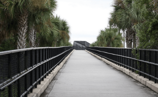 Overpass bridge at Upper Tampa Bay Trail / Flickr / Charles Michael Rinehart
Link: https://flic.kr/p/ccdRJE