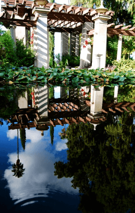 Pond at the Redland Koi Gardens / Flickr / denise
Link: https://flic.kr/p/5Ev3VH