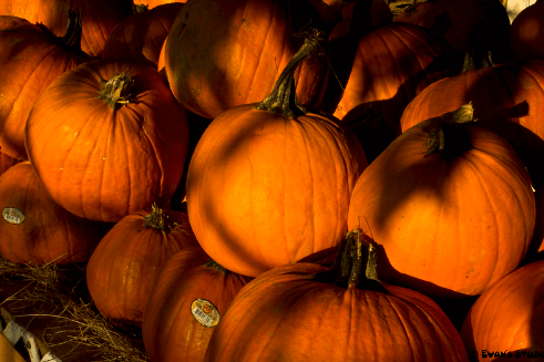 Pumpkins at the Little Farm Fall Festival / Flickr / Evan's Studio
Link: https://flic.kr/p/gHHDKg