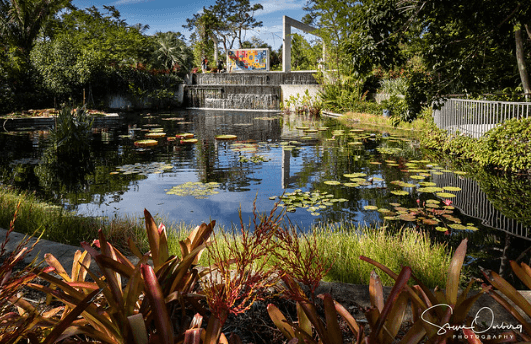 Scenery at Naples Botanical Garden / Flickr / Steve Ornberg
Link: https://flic.kr/p/PpZVoX