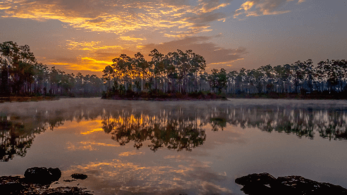 Sunset at Long Pine Key Campground / Flickr / Claudia Domenig
Link: https://flic.kr/p/53Bior