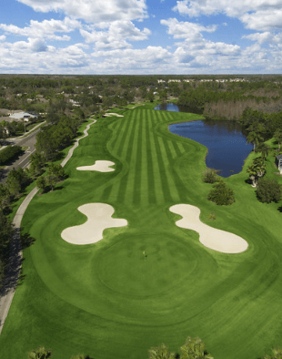 Aerial view of Westchase Golf Club / Flickr / Florida Homes Real Estate
Link: https://flic.kr/p/6W2Euo