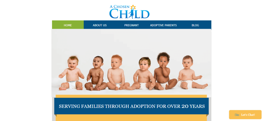 Homepage of A Chosen Child, Inc website / achosenchild.com