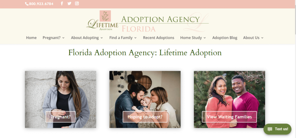 Homepage of Adoption Agency Florida website/ adoptionagencyflorida.com