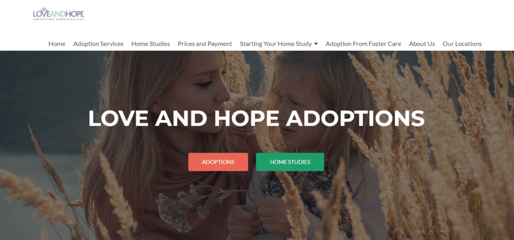 Homepage of Love and Hope Adoptions, Inc. website / loveandhopeadoptions.org