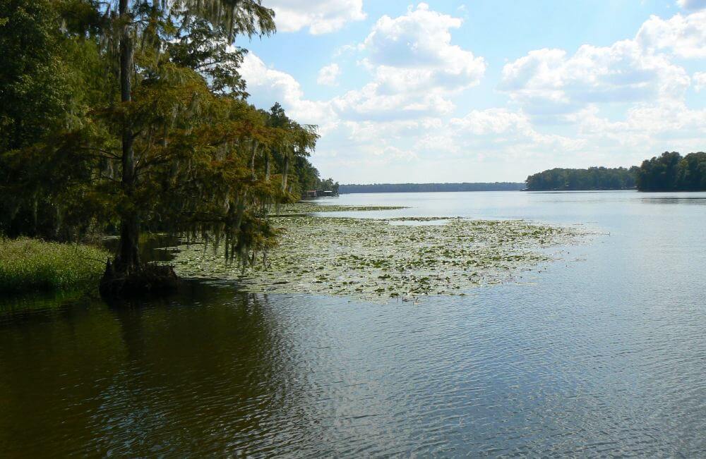 Northeast view of Lake Talquin / Wikipedia / Tim Ross https://en.wikipedia.org/wiki/Lake_Talquin#/media/File:NELkTalquin-Oct2007.JPG