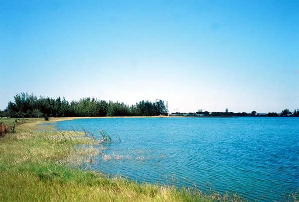 Lakeshore at Amelia Earhart Park / Wikipedia / Killioughtta


Link: https://en.wikipedia.org/wiki/Amelia_Earhart_Park#/media/File:AEParkLakeshore.jpg