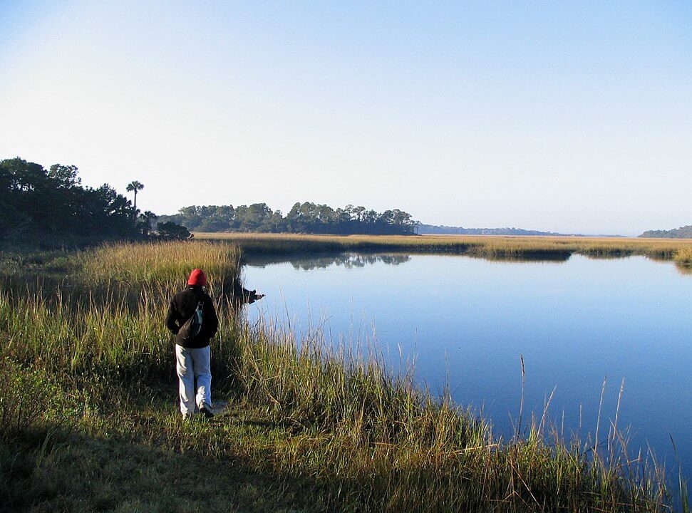 Walking at Little Talbot Island State Park / Wikipedia / Mwanner https://en.wikipedia.org/wiki/Little_Talbot_Island_State_Park#/media/File:Little_Talbot_Island_-_Myrtle_Creek.jpg