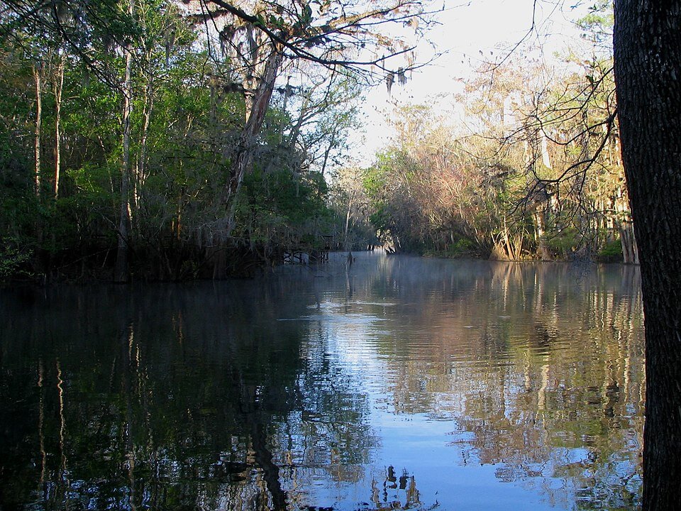 The Spring Run at Manatee Park / Wikipedia / Mwanner https://en.wikipedia.org/wiki/Manatee_Springs_State_Park#/media/File:Manatee_River_SP_-_Spring_Run.jpg