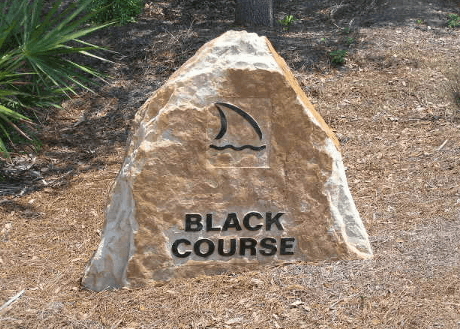 The Black Course of Tiburón Golf Club / Flickr / Dan Perry
Link: https://flic.kr/p/KTFtN