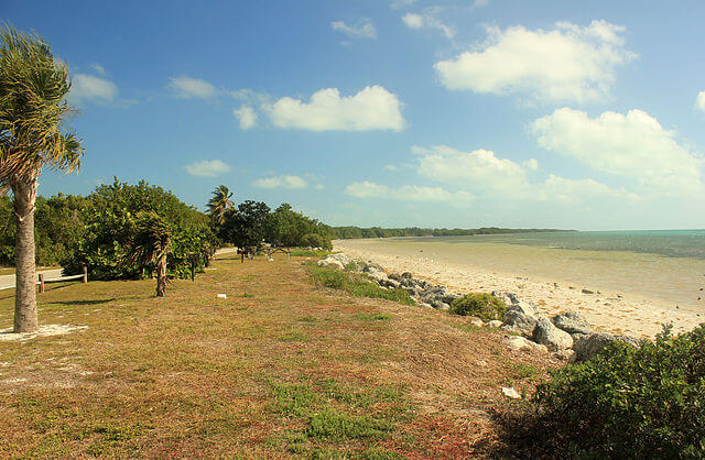 Beachy Landscape at Long Key State Park / Wikipedia / Yinan Chen
Link: https://en.wikipedia.org/wiki/Long_Key_State_Park#/media/File:Gfp-florida-keys-long-key-state-park-landscape-view.jpg