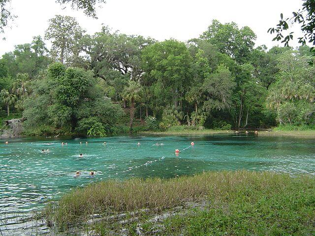 By the Swimming Hole in Rainbow Springs State Park / Wikipedia / Sphanyx
Link: https://en.wikipedia.org/wiki/Rainbow_Springs_State_Park#/media/File:Rainbow_spgs_florida.JPG