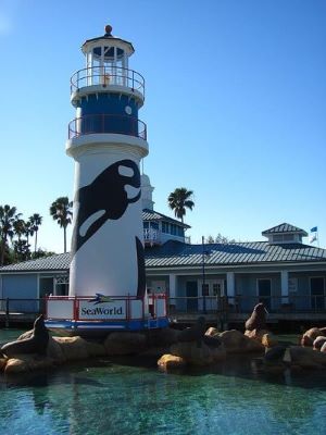 Lighthouse at Seaworld Orlando / Wikipedia / Jeremy Thompson
Link: https://en.wikipedia.org/wiki/SeaWorld