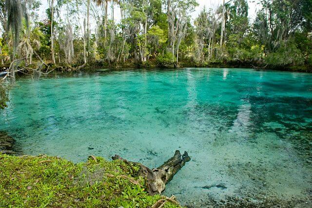 Emerald Waters of Three Sisters Springs / Wikipedia / Ramos Keith
Link: https://en.wikipedia.org/wiki/Three_Sisters_Springs_(Florida)