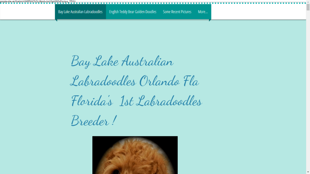 Homepage of Bay Lake Labradoodles' Website / baylakedoodles.net