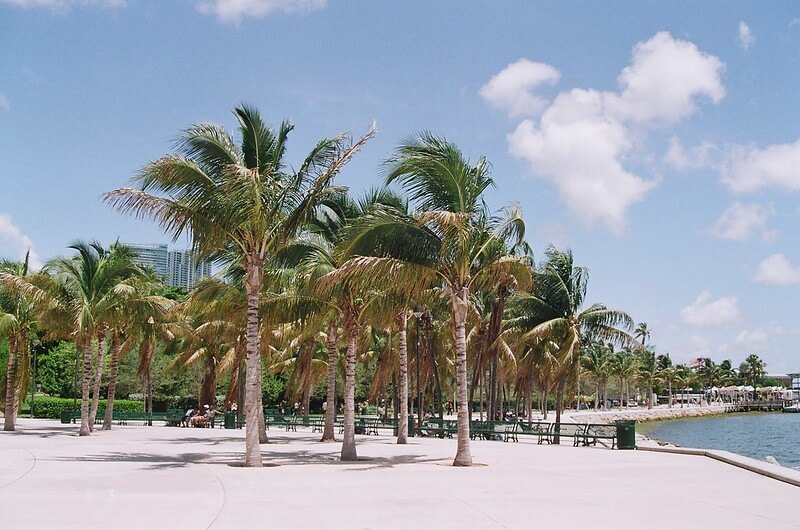 Bayfront Park Miami Mini Beach / Flickr / Phillip Pessar

Link: https://flic.kr/p/a9aB3g