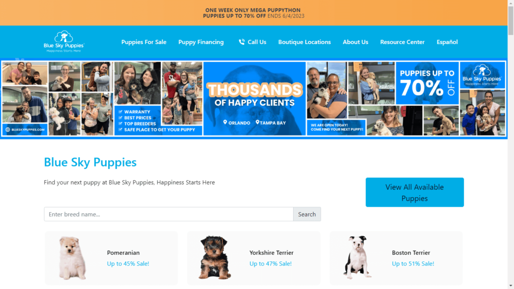 Homepage of Blue Sky Puppies' Website / blueskypuppies.com