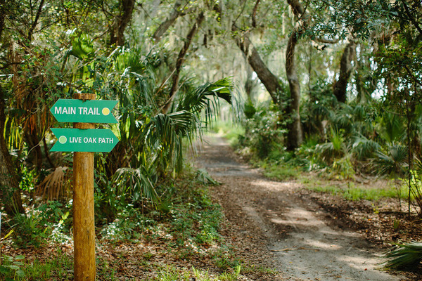 Boyd Hill Nature Preserve / Flickr / CityofStPete

Link: https://flic.kr/p/Lf8w9d