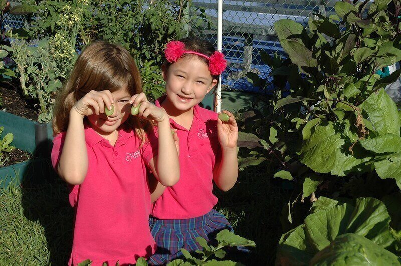 Instilling curiosity at Carrollton School of the Sacred Heart / Flickr / Fairchild Challenge
Link:
https://www.flickr.com/photos/fairchildchallenge/12931260403/