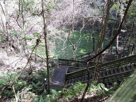 Devil's Millhopper Geological State Park / Flickr / Florida Fish and Wildlife

Link: https://flic.kr/p/AJz3w3