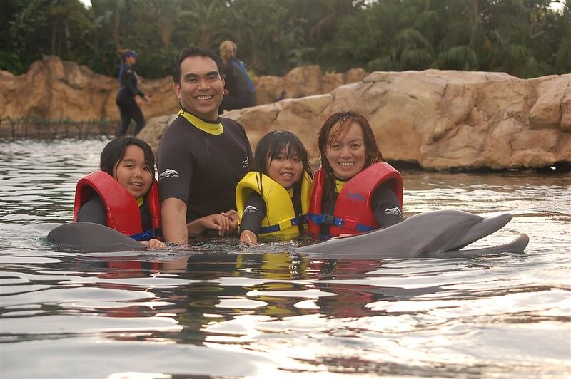 Swim with dolphins at Discovery Cove / Flickr / patty1366
Link:
https://www.flickr.com/photos/34554992@N00/2083331286/