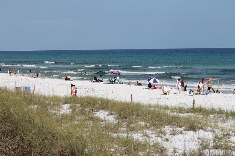 Explore the vibrant energy of Henderson Beach State Park / Flickr / Beverly Hill
Link:
https://www.flickr.com/photos/nerispace/7390167880/