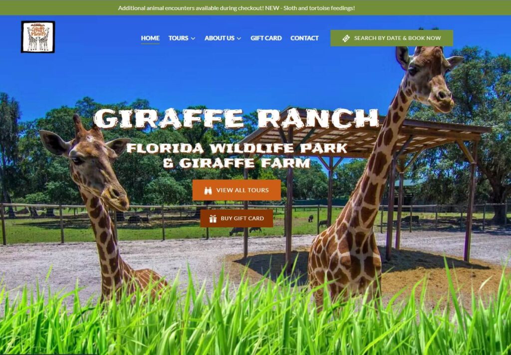 Homepage of Giraffe Ranch 
URL: https://girafferanch.com/
