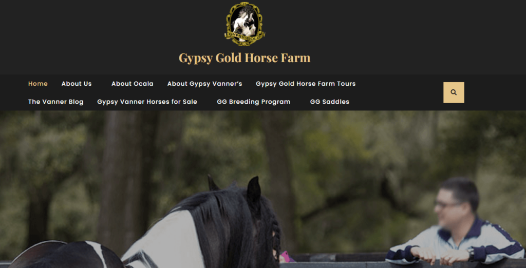 Homepage of Gypsy Gold Horse Farm 
URL: https://gypsygold.com/
