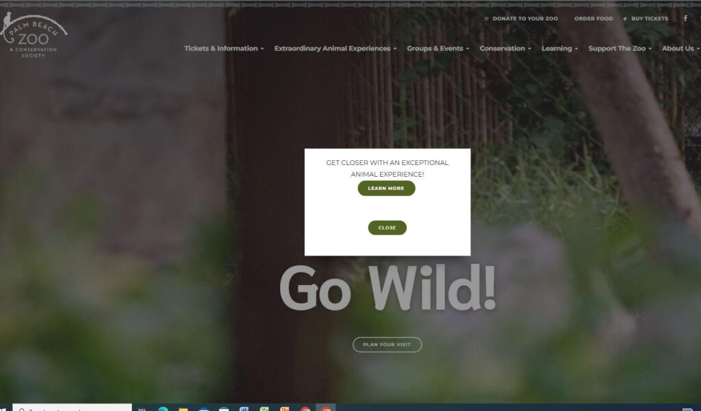 Homepage of Palm Beach Zoo 
URL: https://www.palmbeachzoo.org/