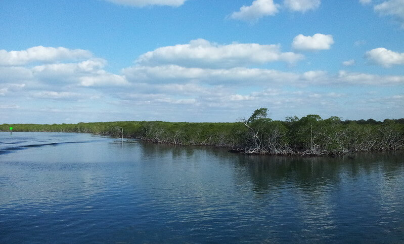 Key Largo, Florida / Flickr / Foto Captor

Link: https://flic.kr/p/e5uzp5