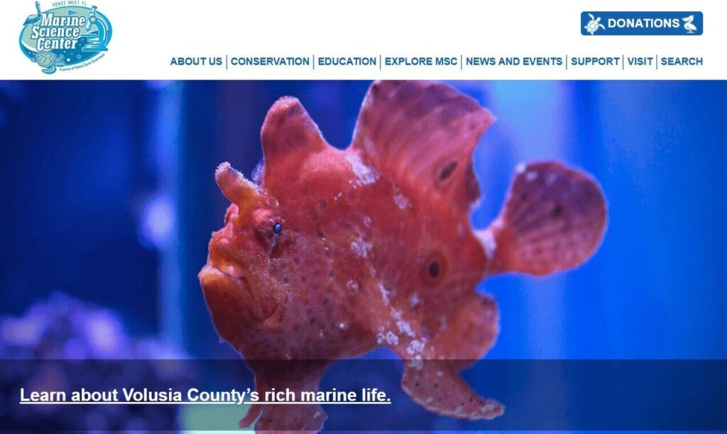 Homepage of Marine Science Center / marinesciencecenter.com
Link:
https://www.marinesciencecenter.com/