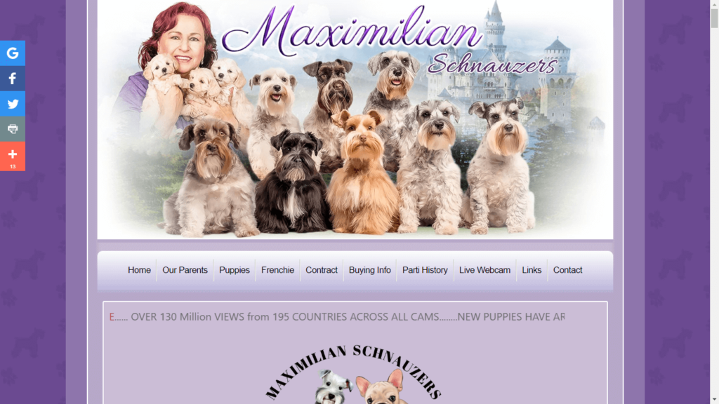 Homepage of Maximilian Schnauzers' Website / maximilianschnauzers.com