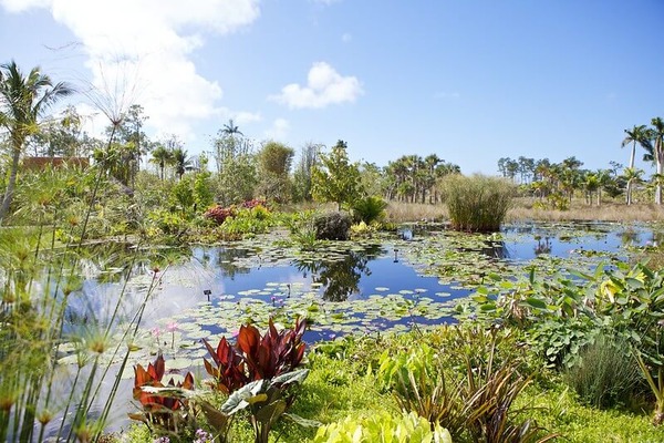 Naples Botanical gardens / Flickr / Chiot's Run

Link: https://flic.kr/p/bCKYRa