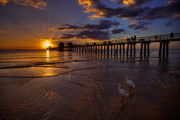 Naples Fishing Pier Sunset at Beach / Flickr / Kim Seng

Link: https://flic.kr/p/8GoCER