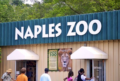 Naples Zoo / Flickr / Bob B. Brown

Link: https://flic.kr/p/as42FK