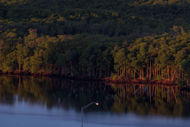 Oleta River State Park / Flickr / Jimmy Baikovicius

Link: https://flic.kr/p/LBA5Tk