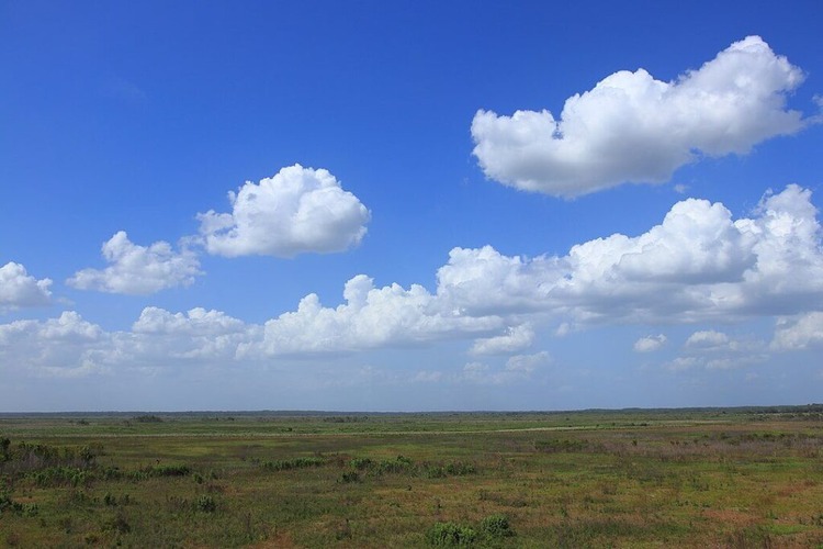 Paynes Prairie / Wikipedia / Muon


Link: https://en.wikipedia.org/wiki/File:Paynes_Prairie_observation_tower_view.jpg#/media/File:Paynes_Prairie_observation_tower_view.jpg