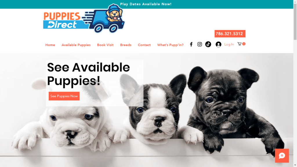 Homepage of 5. Puppies Direct's Website / puppiesdirect.co