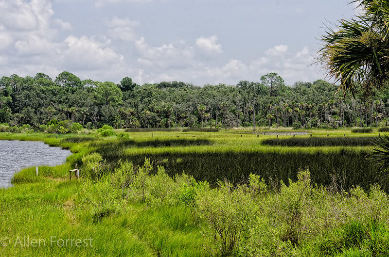 Reddie Point Preserve / Flickr / Allen Forrest

Link: https://flic.kr/p/o5dXhm